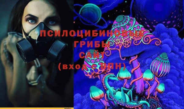 круглые Ладушкин